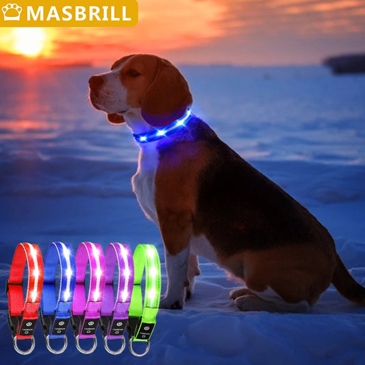 MASBRILL Light Up Dog Collar Waterproof USB Rechargeable
