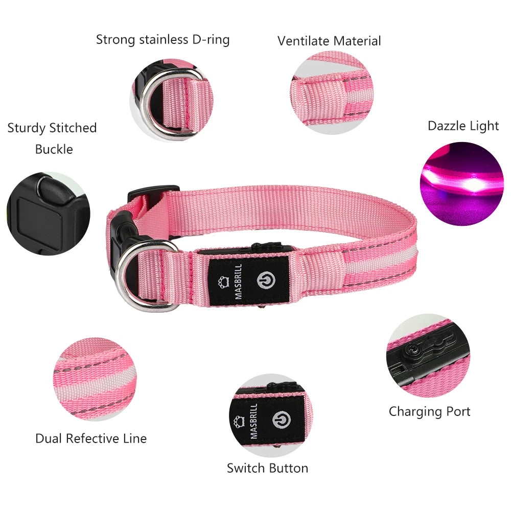 MASBRILL Light Up Dog Collar Waterproof USB Rechargeable