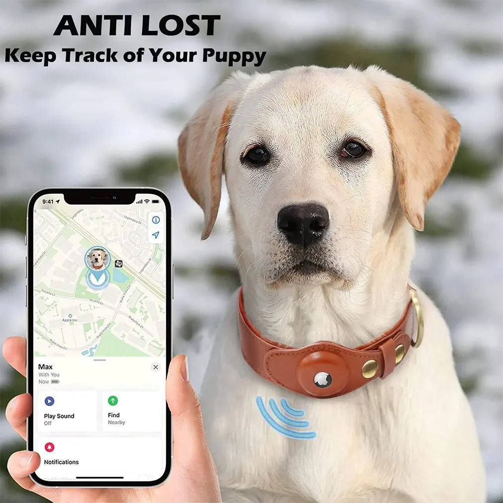 Removable Locating Pet Collar