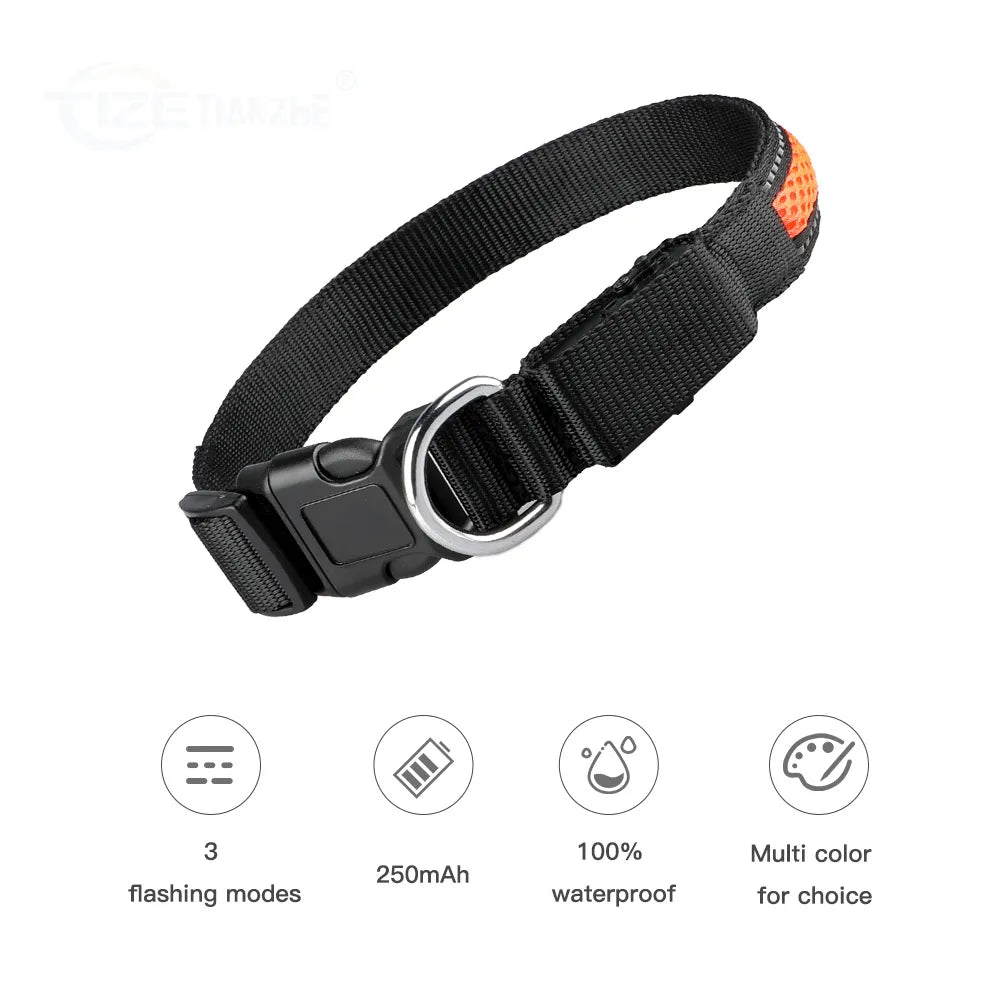 MASBRILL LED Dog Collar Luminous