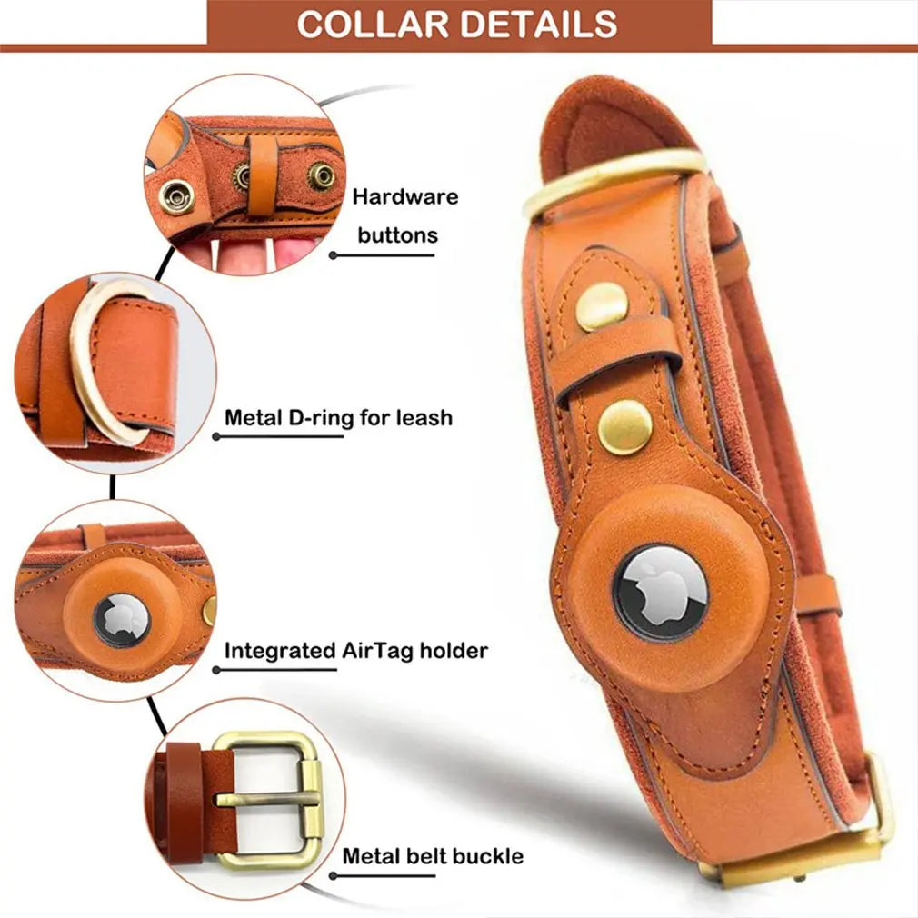 Removable Locating Pet Collar