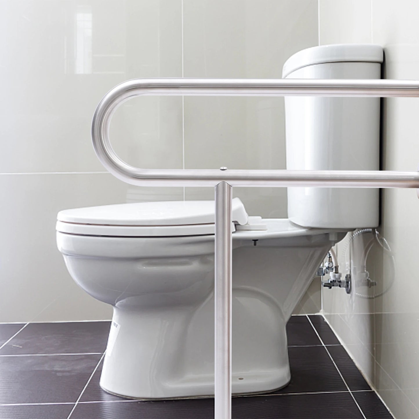 Stainless Steel Handicap Rails, Grab Bars, Toilet Support.