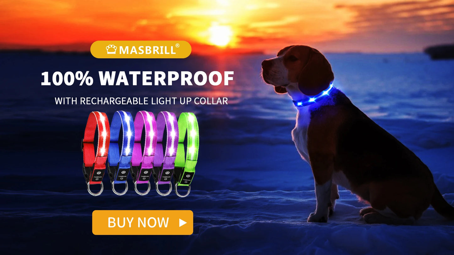 MASBRILL Light Up Dog Collar Waterproof USB Rechargeable