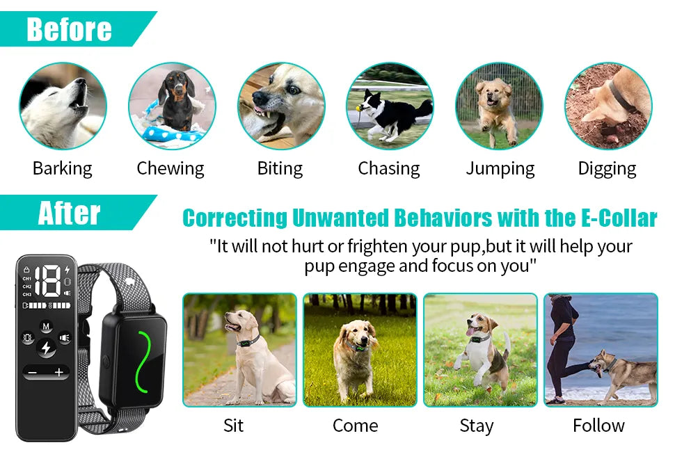 Dog Training Collar 2600ft Remote Control